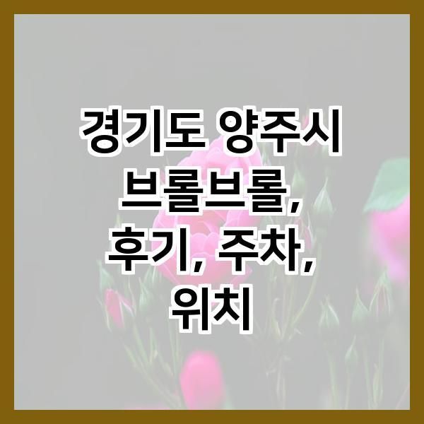 경기도 양주시 브롤브롤, 후기, 주차, 위치
