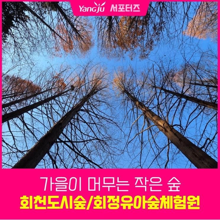 가을엔 여기! 아이들과 갈만한 양주시 회천도시숲 회정유아숲체험원