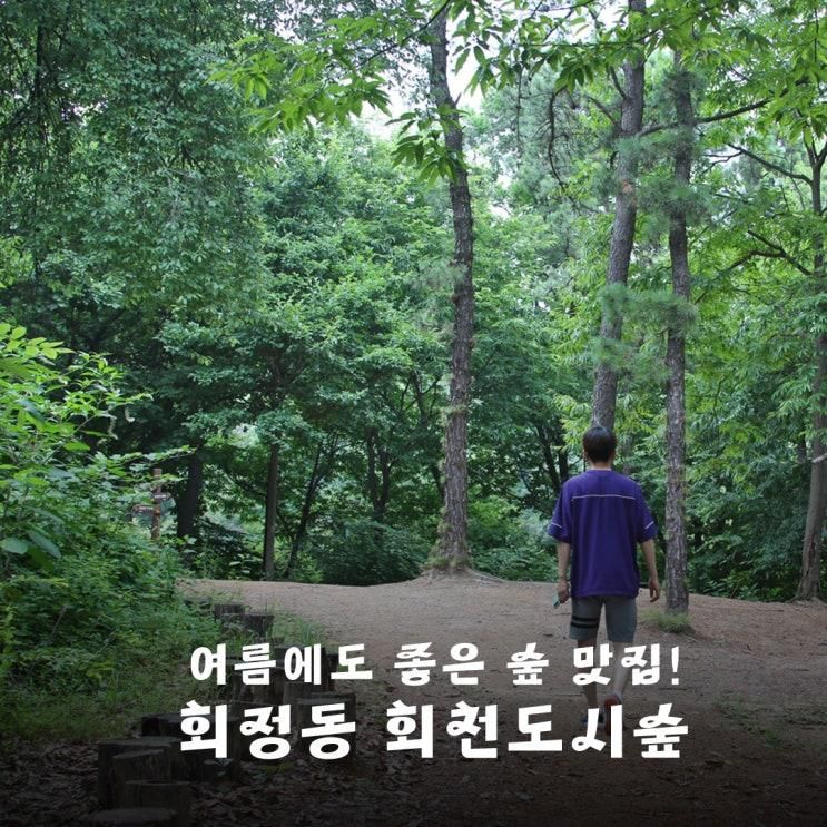 더위를 피해 숲으로! 아이들과 가기 좋은 회정동 회천 도시숲