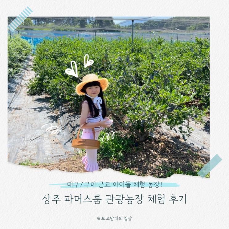 [상주 : 파머스룸] 블루베리 수확부터 동물 먹이주기까지! 아이와 즐기는 농장 체험의 모든 것