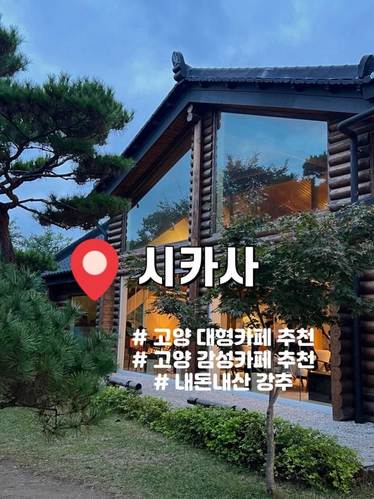 [경기/고양] 오두막과 야외정원이 함께 있는, 분위기 좋은 카페 시카사🪵🌳