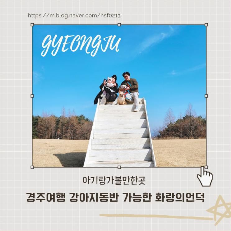 애견 동반 경주 여행 추천 화랑의 언덕 입장료 캠핑 아기랑 강아지랑 꿀팁