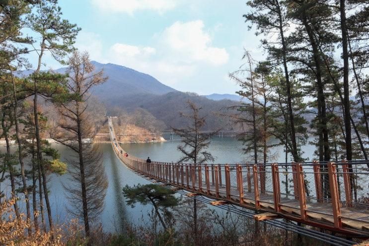 가을 풍경을 보며 산책하기 좋은 경기도 파주 가볼만한곳 마장호수출렁다리