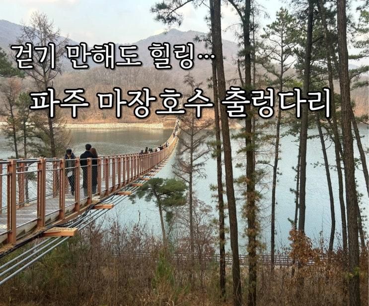 걷기만 해도 힐링… 파주 마장호수 출렁다리 200%즐기는 방법