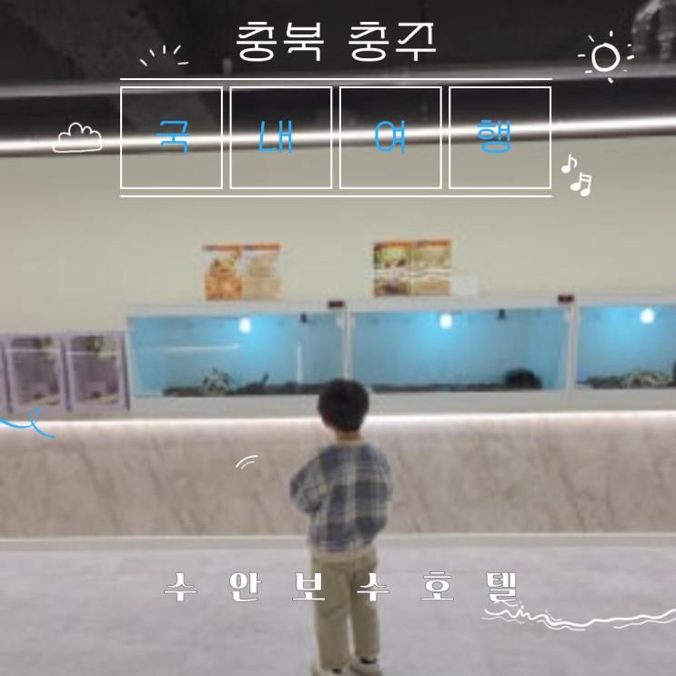 🛁 [충북 충주] 수안보 수호텔 가족탕 –아이 둘 데리고 가본 진짜 후기 (사진 多) 주차, 예약