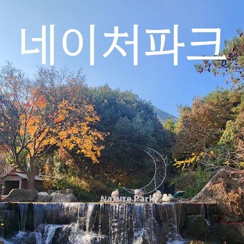 대구 네이처파크
