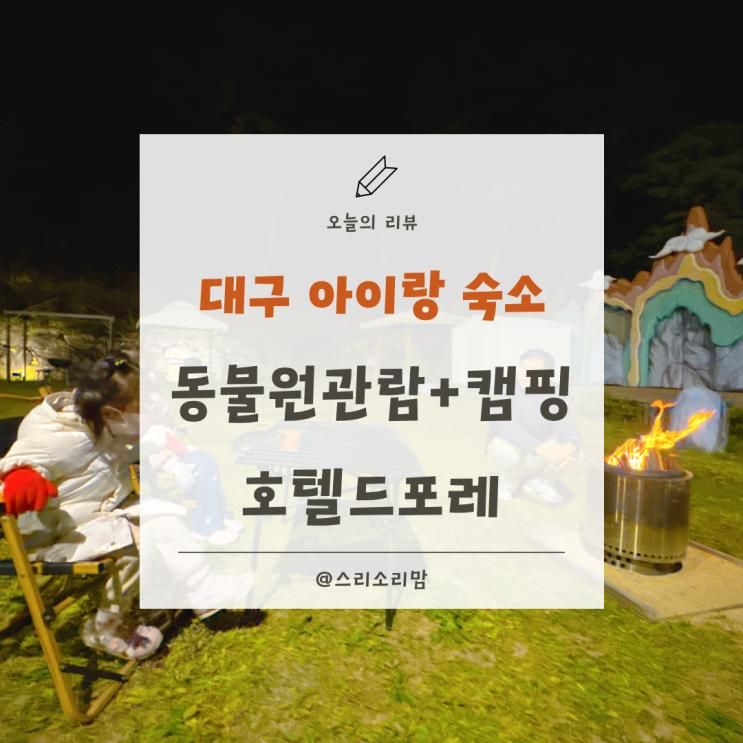대구 아이랑 숙소 동물원 안에 호텔 호텔드포레 온돌룸 캠핑감성 후기