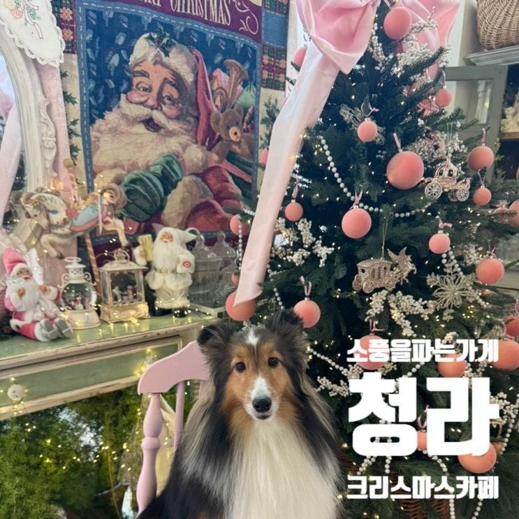 소풍을파는가게 청라 크리스마스 카페 애견동반 식사예약