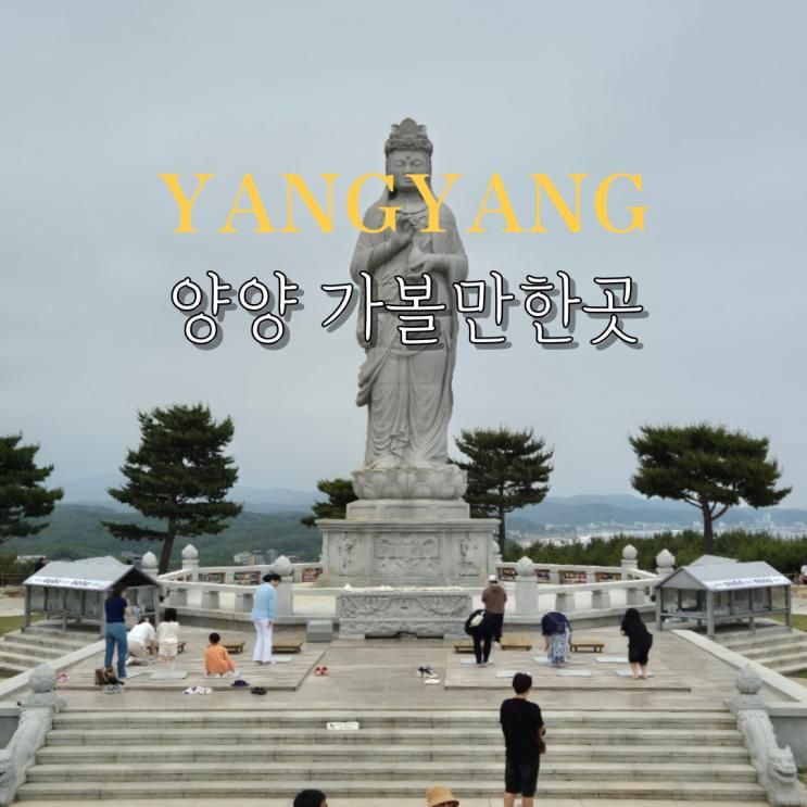 강원도 양양 가볼만한곳 낙산사 해수관음상 비오는날 아기랑 여행