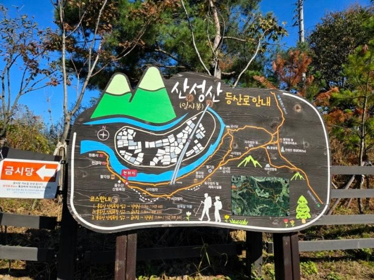 밀양 금시당 백곡재 400년된 은행나무 명소 금시당 주차