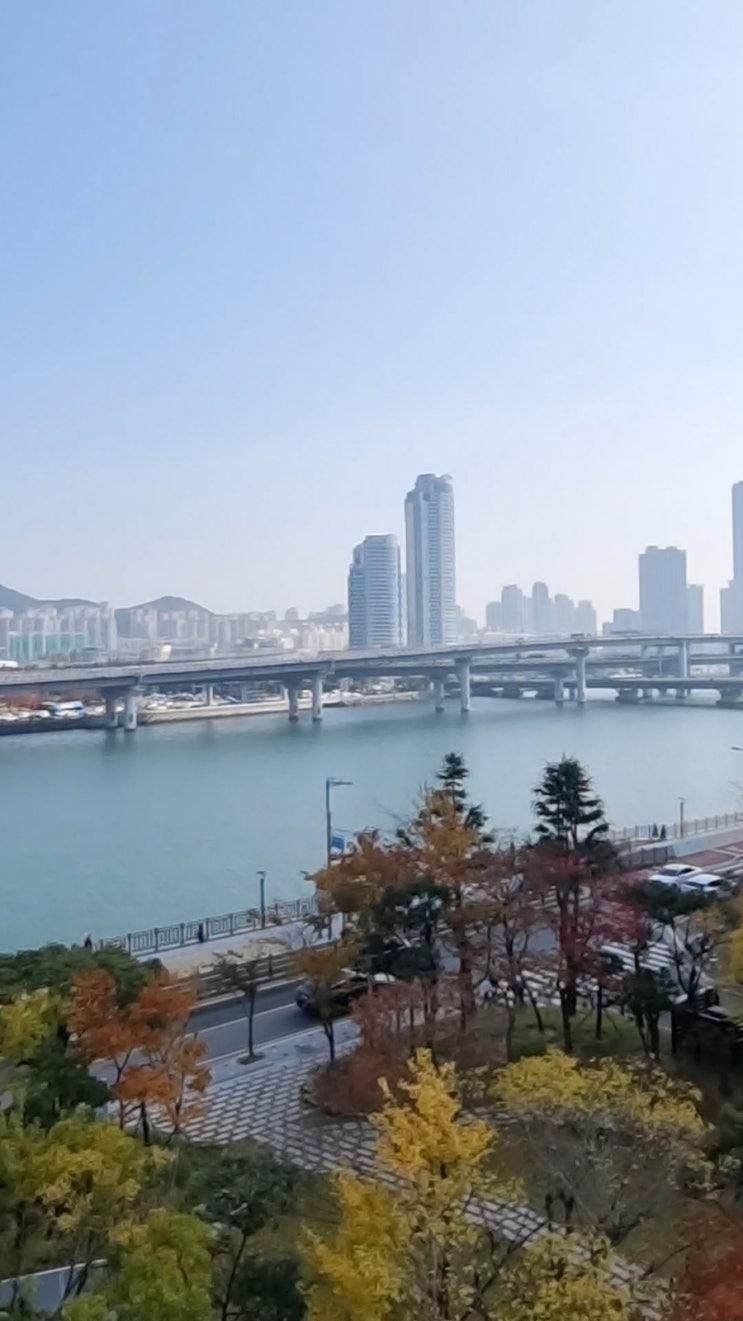 부산 수영만 대형 카페 <<해그리다>>