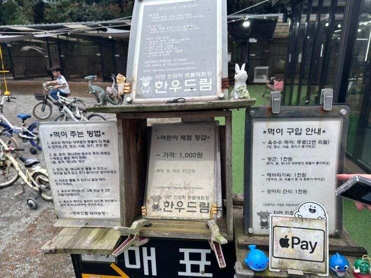 여수 ✨ 이색장소 ‘한우드림 동물체험장’ 데이트 아이와갈만한곳 🐰❤️