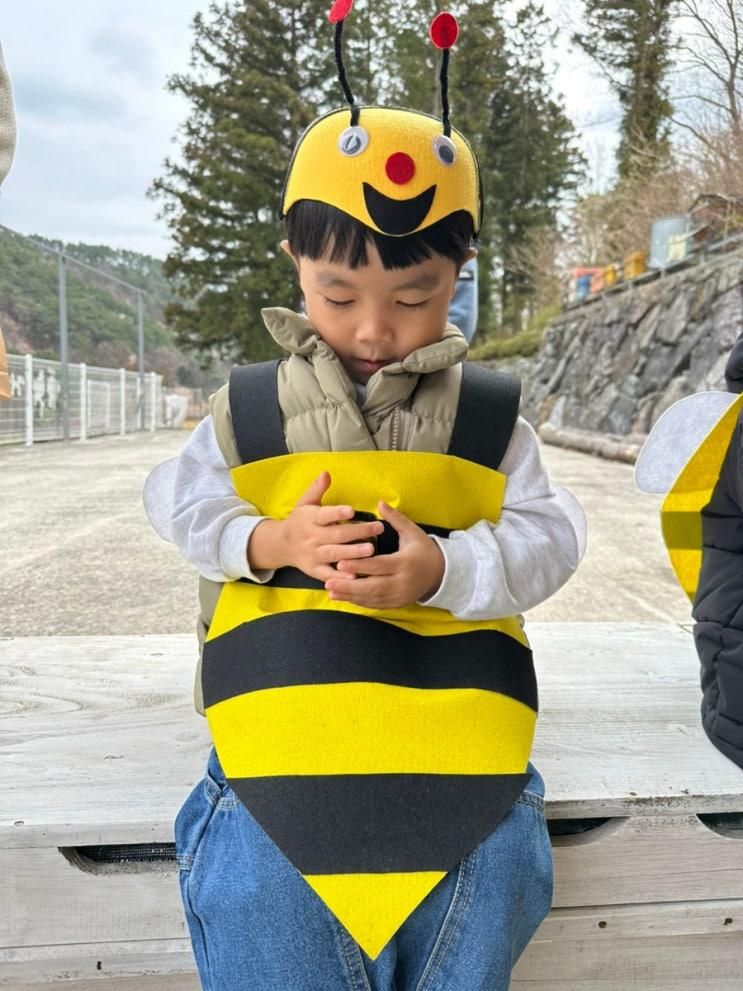 거제 체험 아이랑 가볼만한곳 거제꿀벌교육농장 꿀벌농장