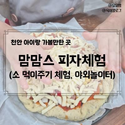 천안 아이랑 가볼만한 곳, 맘맘스 피자체험(목장, 카페, 모래놀이터, 주차)