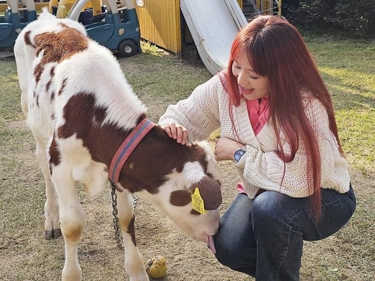 천안 아이랑 갈만한곳 피자 만들기 목장체험 놀거리 가득한 맘맘스
