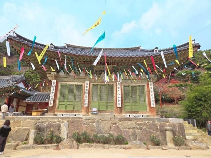 인천 아이랑 갈만한 곳 '전등사' (tip 주차 필수팁, 카페 )