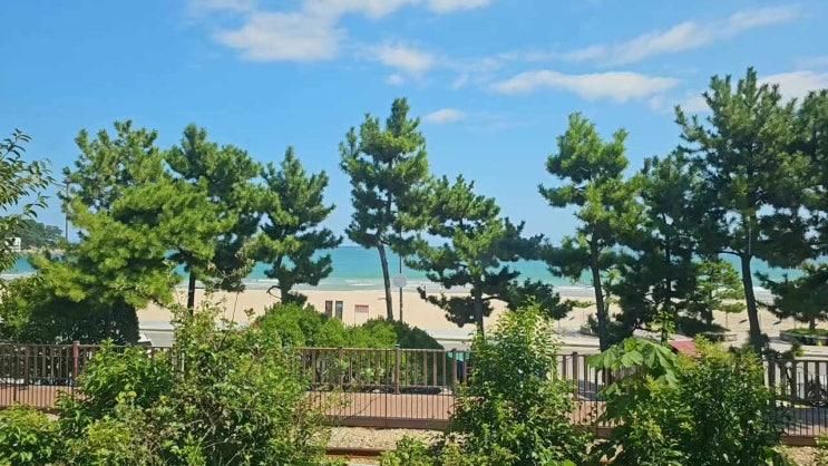 [부산 아기랑] 오션뷰+브런치 완벽 조합, 송정 홀리라운지 리뷰