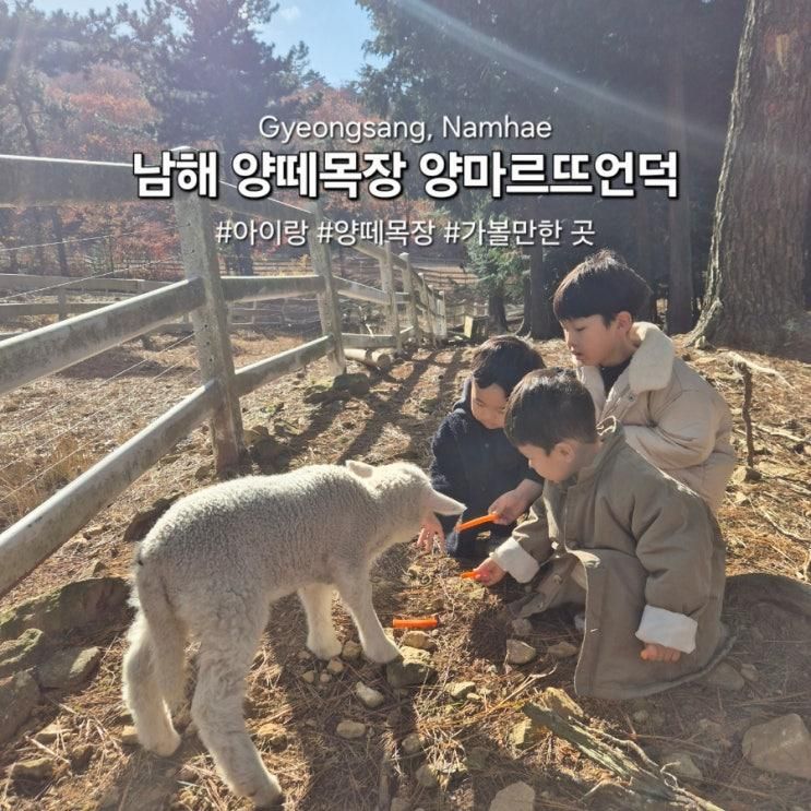남해 양떼목장, 양마르뜨언덕 체험 후기