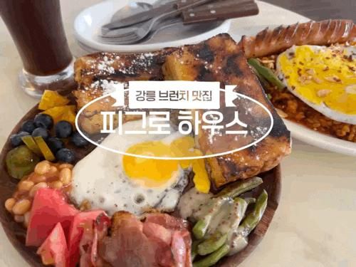 강릉 감성 브런치  [ 피그로하우스 ] 애견동반 가능한 카페 “ 내돈내산 리뷰 ”