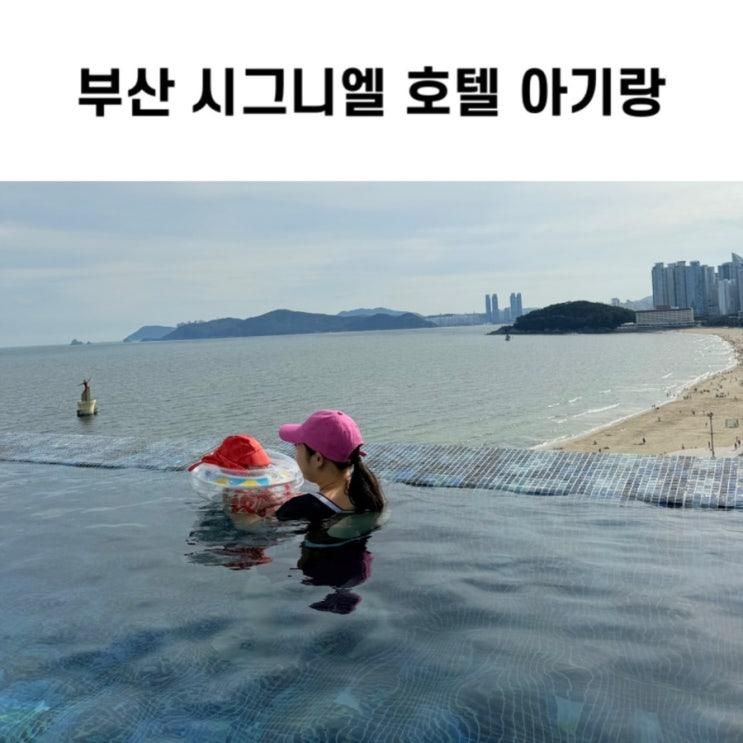 부산 시그니엘 호텔 조식 6개월 아기랑 수영장 육아용품 대여