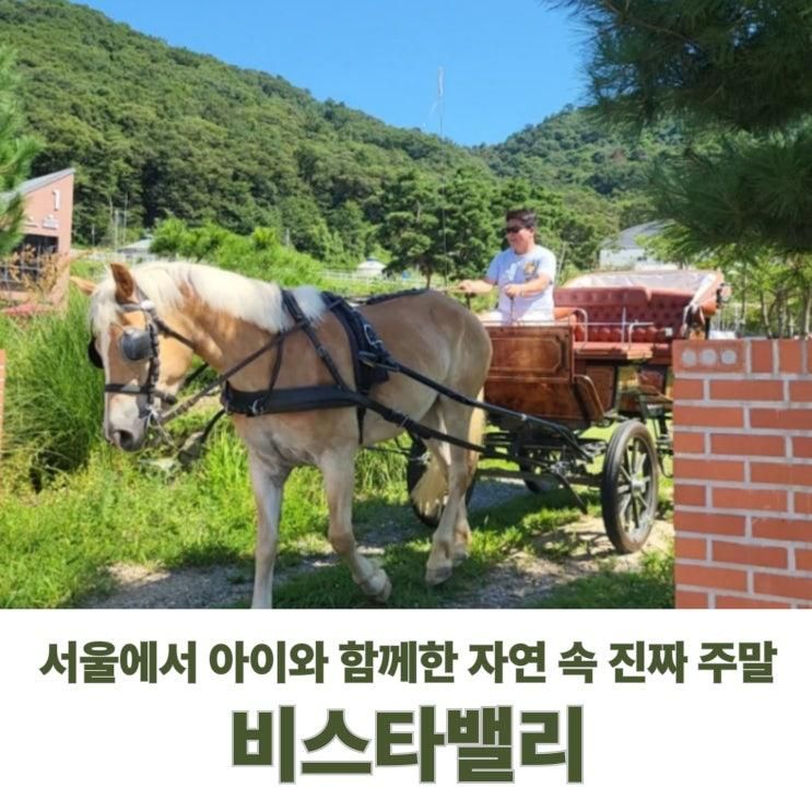 서울 아이랑 비스타밸리 체험 후기 말 먹이주기부터 벽화 그리기까지 알찬 주말 나들이