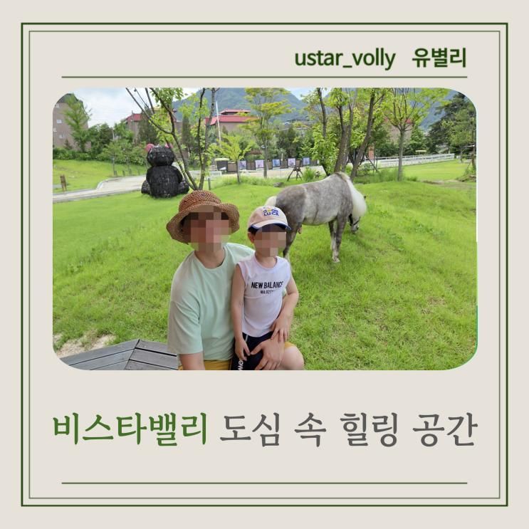 남양주 아이와 가볼만한곳 비스타밸리 강추