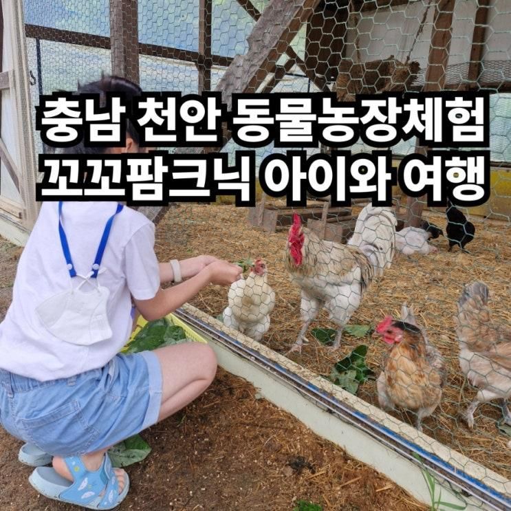 농장체험 동물체험농장 경기도 근교 충남 천안 아빠사랑팜 아이와 가볼 만한 곳