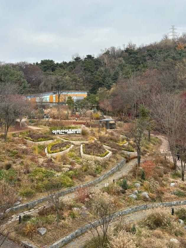 [서울/아차산역] ‘아차산 숲속 도서관’ 방문 후기