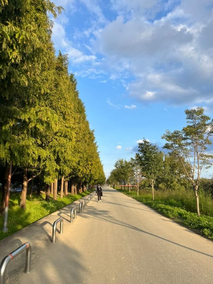 대구 율하 체육공원 아이들이랑 놀기 좋은곳