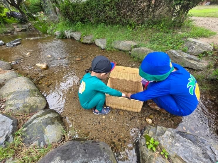 남양주 초록향기 농부의학교 - 서울근교 체험농장, 물놀이, 미꾸라지잡기