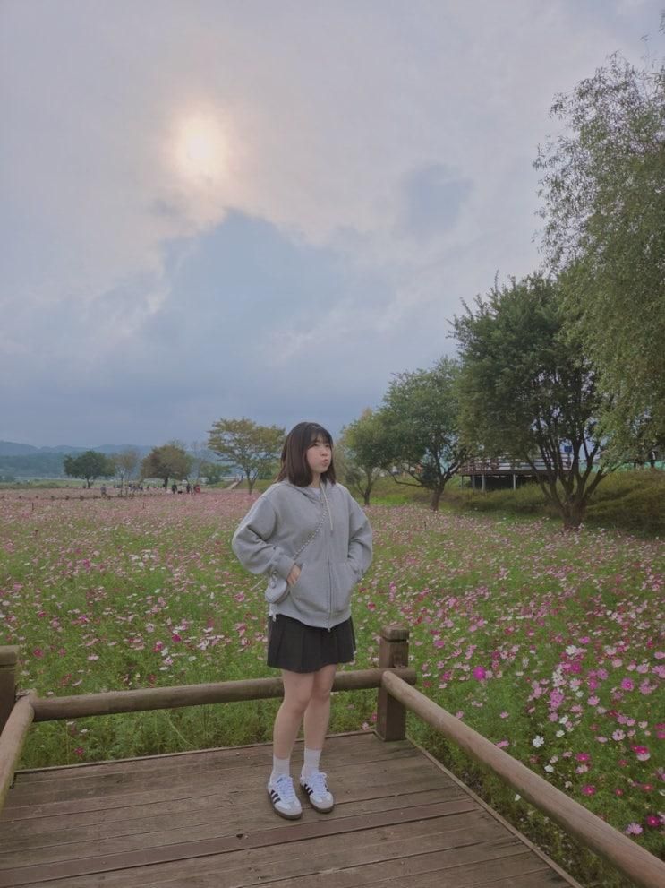 식영정 나들이(2025.10.19)