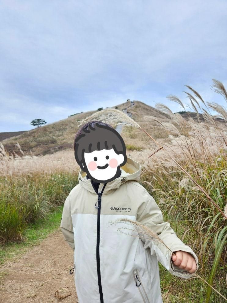 경남 합천 아이랑 가볼만한 황매산 억새축제