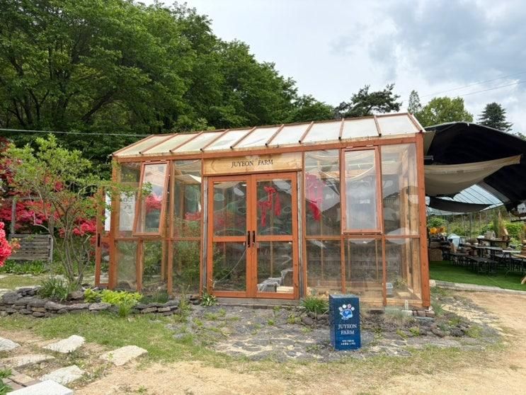 [주말에 아이랑 뭐하지] 5월 남양주 주연팜 /주연 블루베리농장/남양주 아이랑 가기좋은 농장