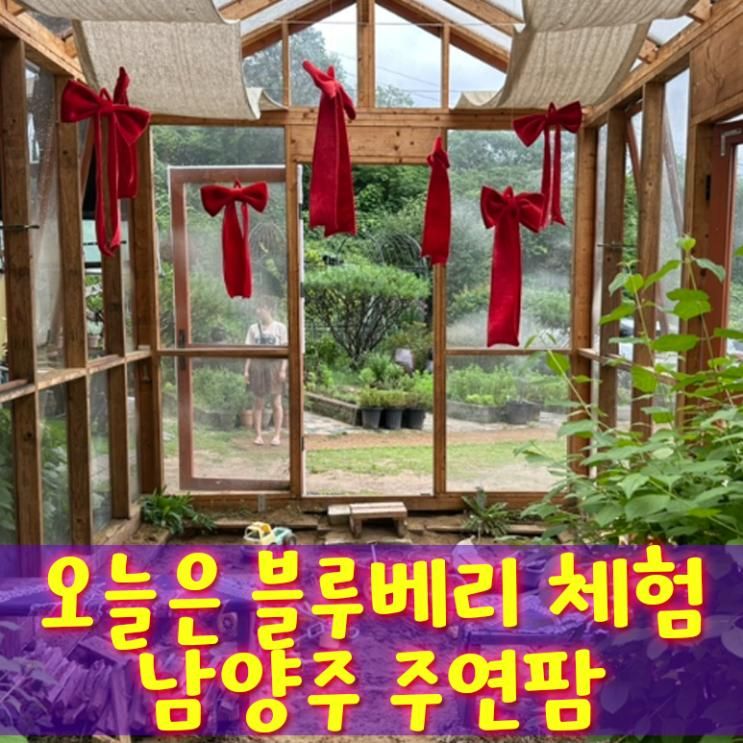 [남양주 농장체험, 아이와 가볼만한 곳] 블루베리 수확 체험과 물놀이, 모래놀이가 가능한 체험농장, “주연농장”
