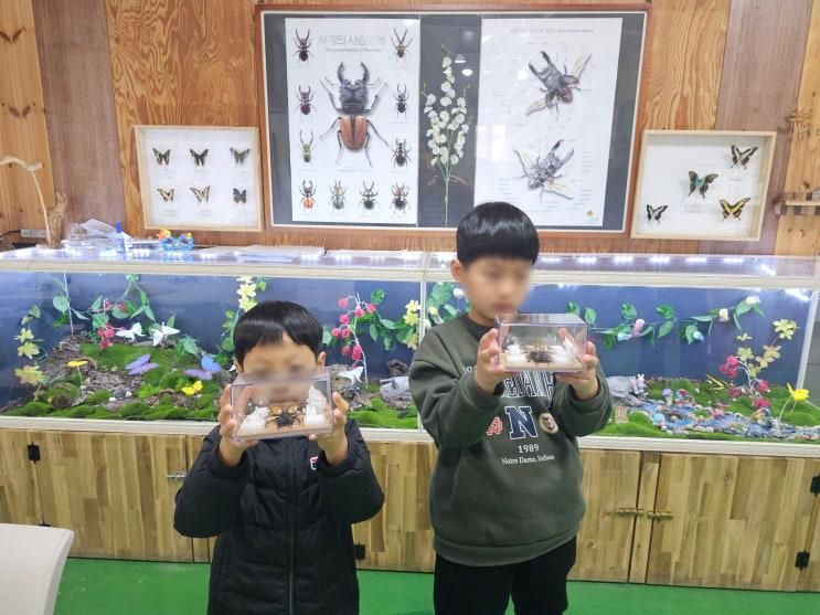 경남 밀양 아이랑 가볼만한곳 버그밀 곤충체험관