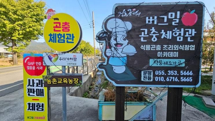 <밀양> 경남 아이와 가볼만한곳 얼음골 만들기 체험농장여행-버그밀