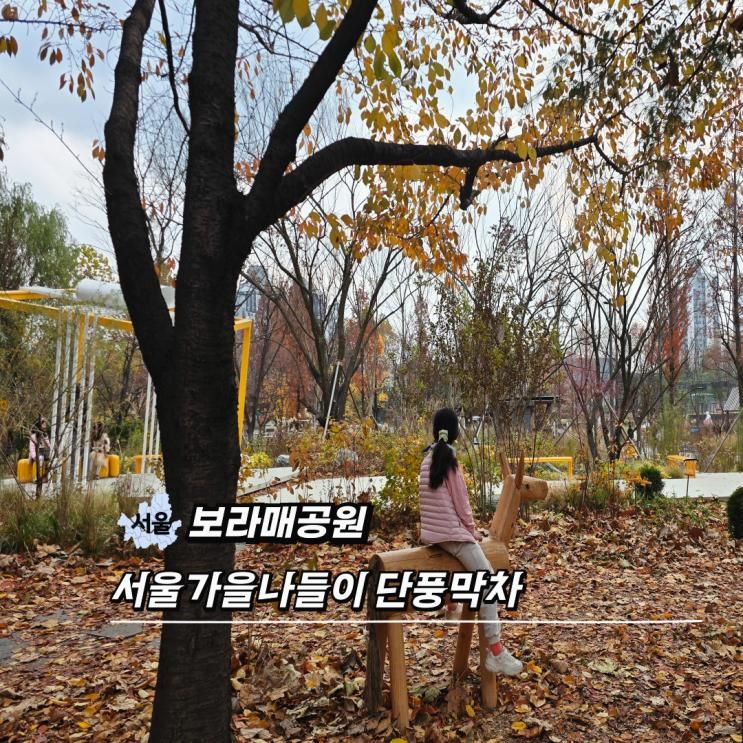 서울 가을 나들이 보라매공원 단풍막차 인라인 안전체험관이벤트