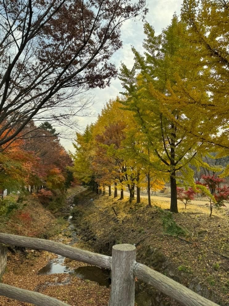 안성 단풍구경으로 방문한 미리내성지