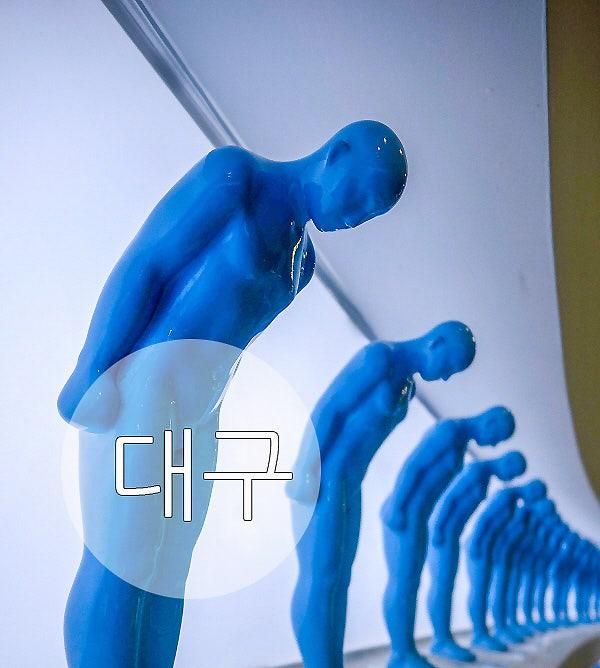 대구 가볼만한곳 아이랑 놀곳 대구 강정보 디아크 텐트(고령보)