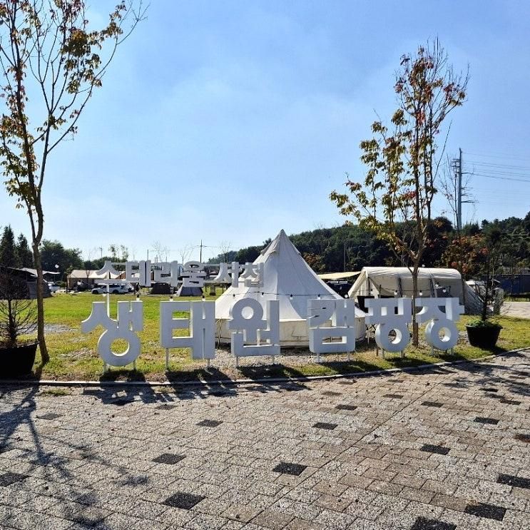서천 오토 캠핑장 스테리움 생태원 캠핑장 A12 사이트 2박 3일