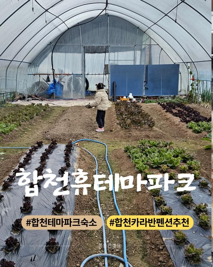 경남 합천 여행 숙소 추천 "합천 휴테마파크 펜션 카라반 캠핑장" 아이와 함께 가기 좋은 곳