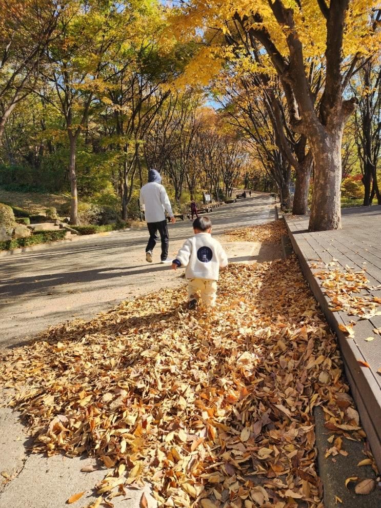 17개월 아기 가을일상 매일 산에서 놀기