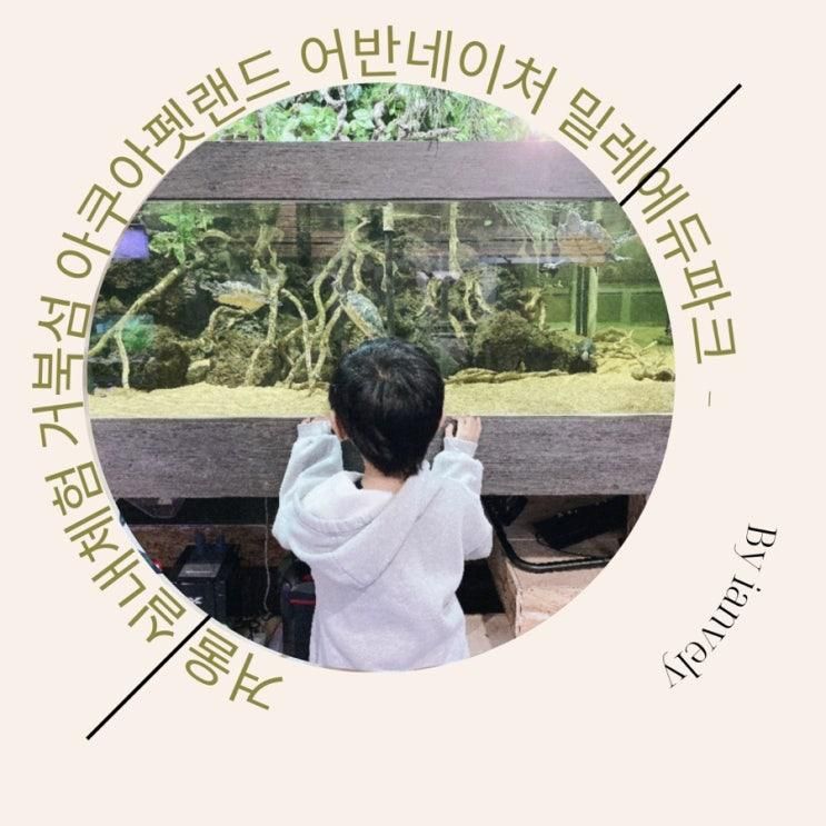 겨울 실내체험 거북섬 아쿠아펫랜드 어반네이처 밀레에듀파크