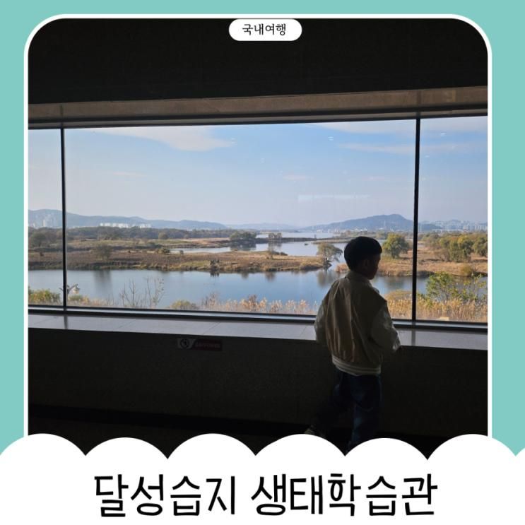 달성습지 생태학습관 주차장 갈대 대구 아이랑 가을에 가볼만한 곳