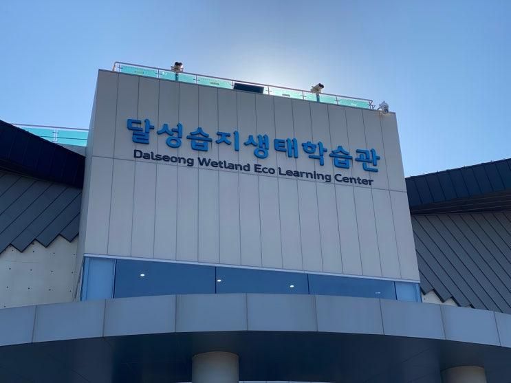 가을 끝물 잡자! 주말에 아이와 즐긴 화원유원지 숲 놀이터 코스 – 화원·사문진·다산 은행나무 숲