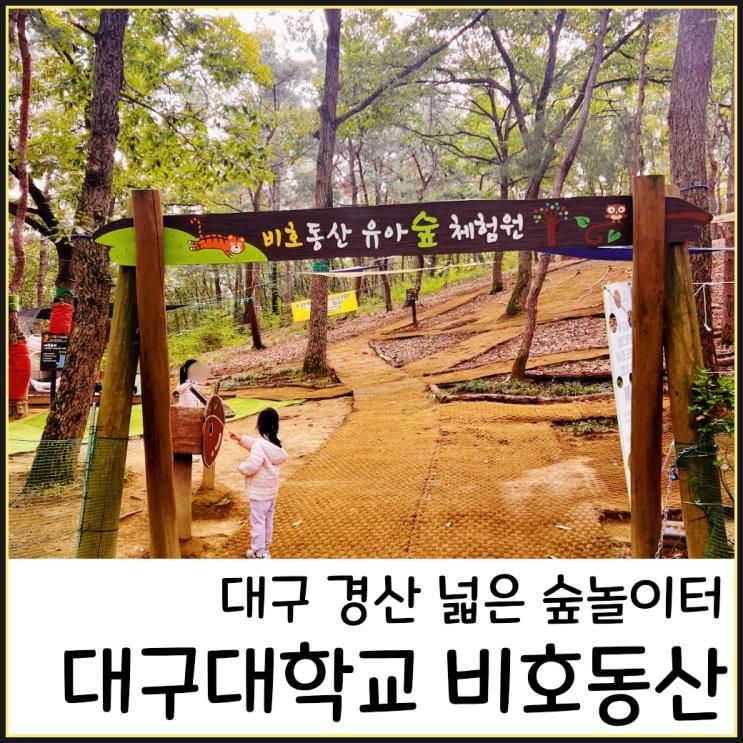 대구대학교 비호동산 아이랑 가볼만한곳 주말 피크닉