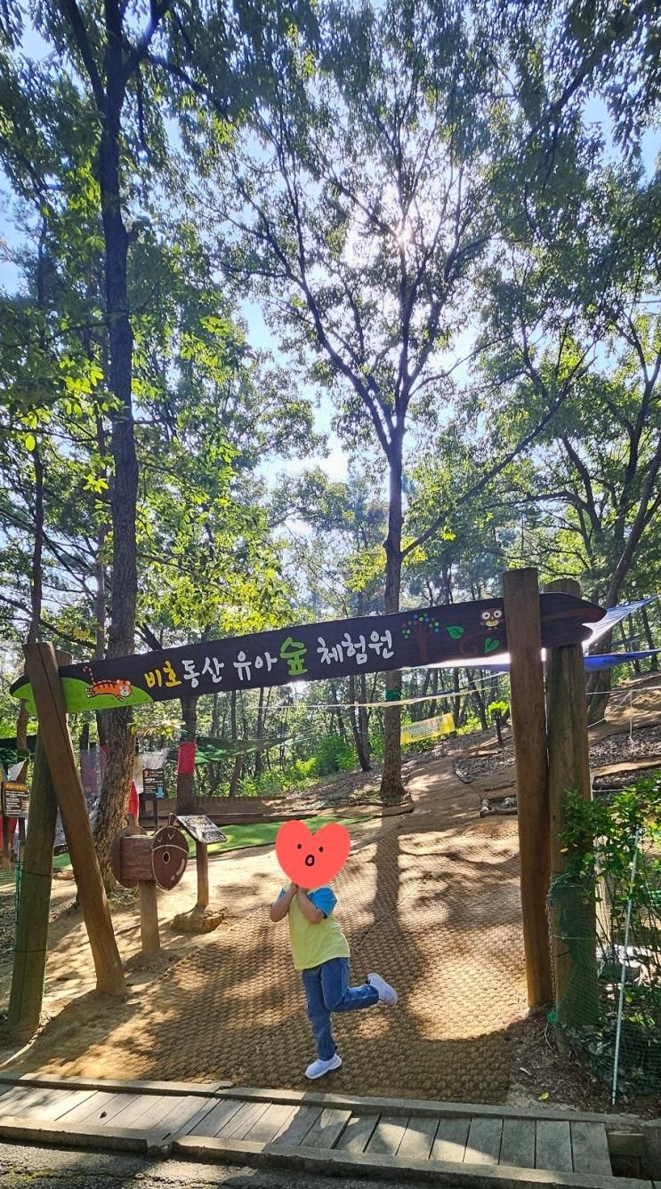 [대구] 비호동산유아숲체험원