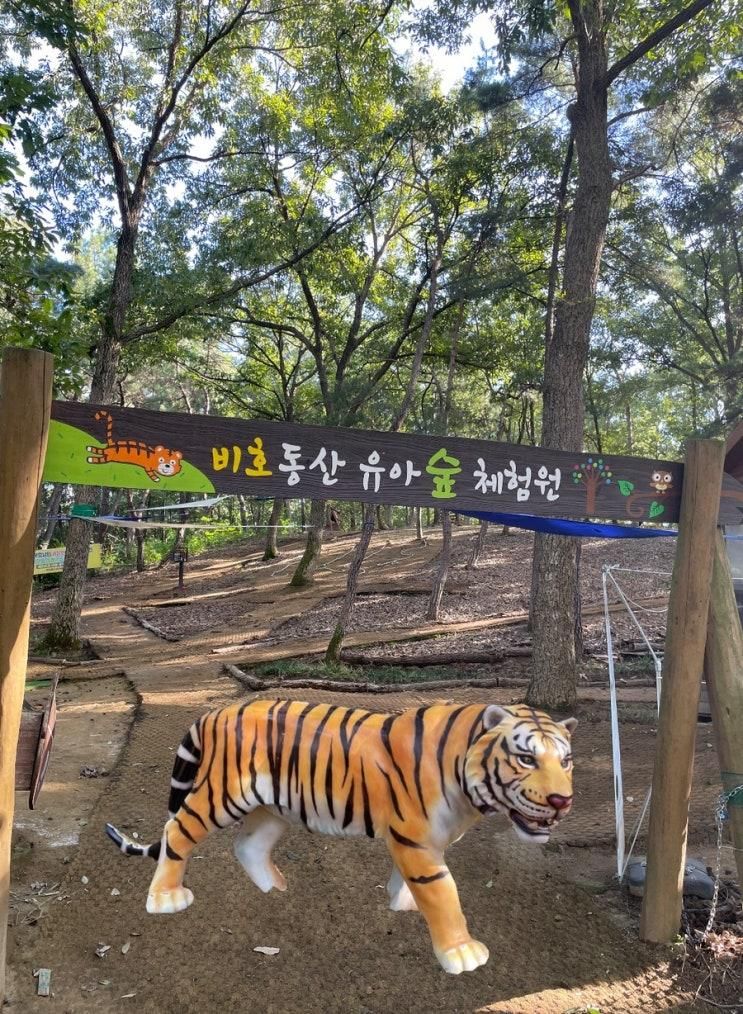 대구 숲놀이터 | 미니 동물원도 있고 숲체험도 가능한 대구대학교 비호동산!