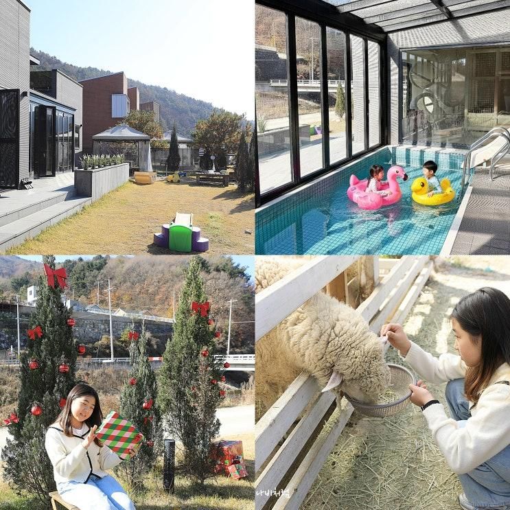 양평 독채 펜션 디토 키즈풀빌라 대가족 단체 감성 숙소 추천