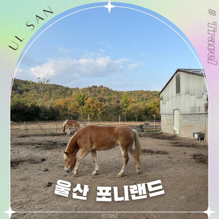 울산 가을 가볼만한곳 포니랜드 아기랑 동물체험